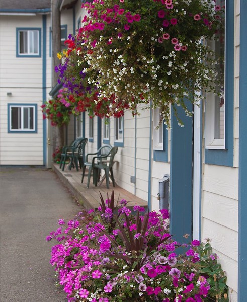 SEAQUEST MOTEL COURTYARD SEAQUEST MOTEL COURTYARD